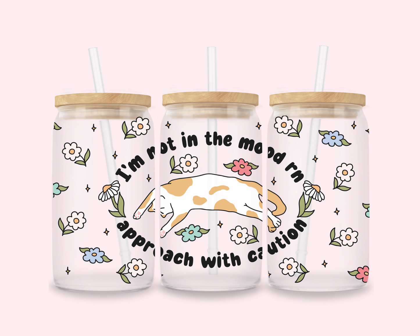 Approach with Caution – Moody Cat Glass Cup