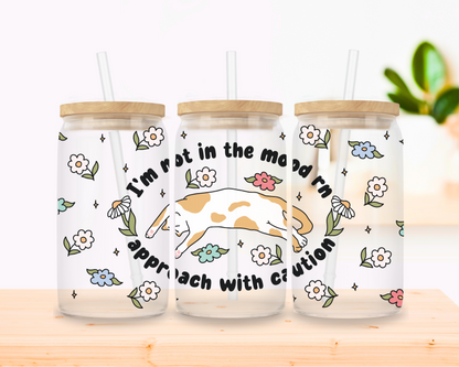 Approach with Caution – Moody Cat Glass Cup