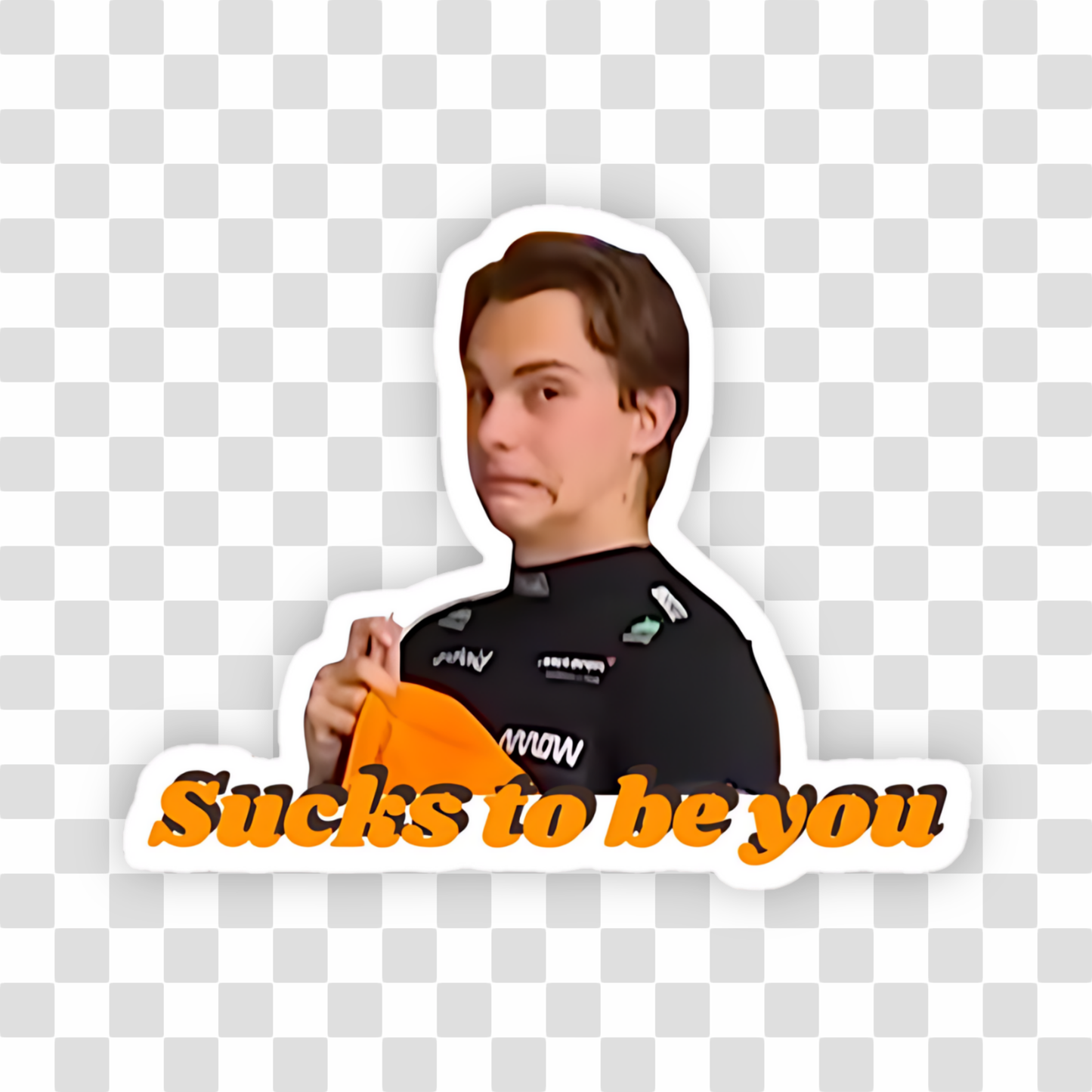 Sucks To Be You Sticker